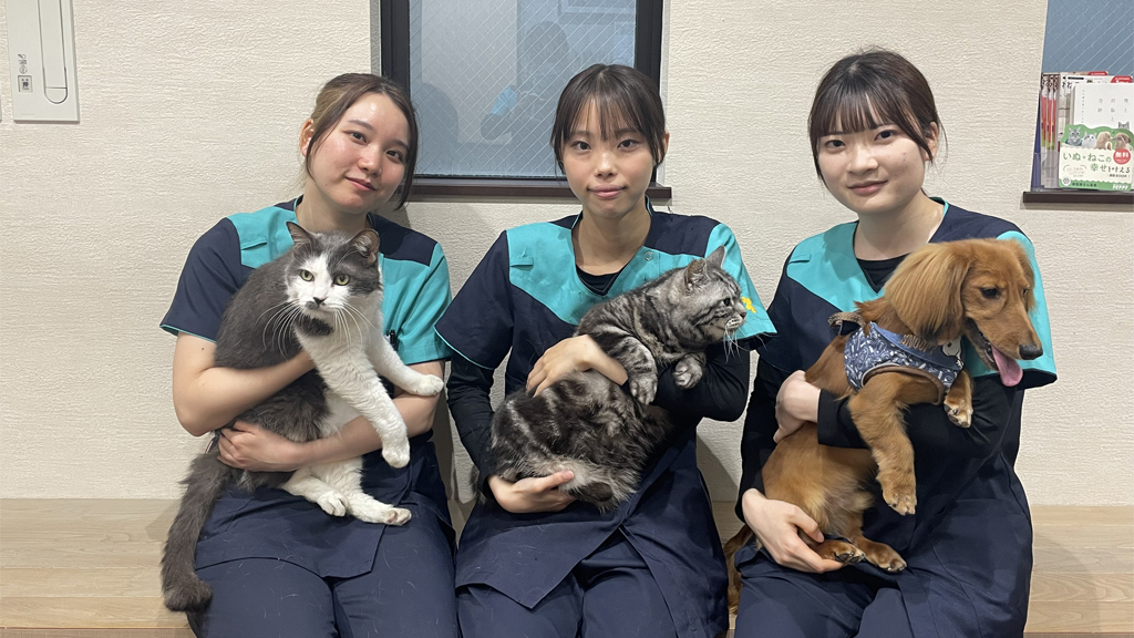 文の里にある動物病院ラスティーの看護師