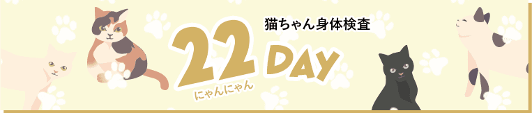 22day